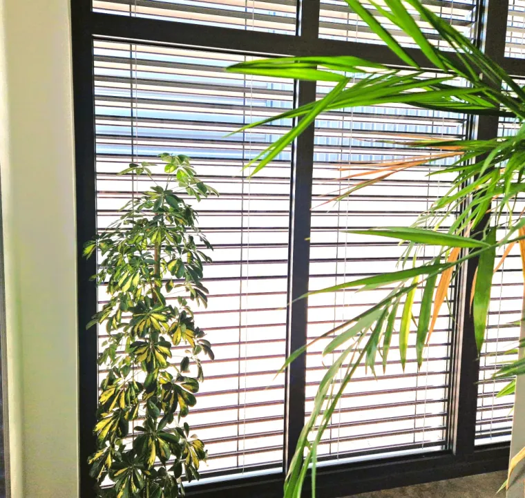 Brise soleil orientable extérieur